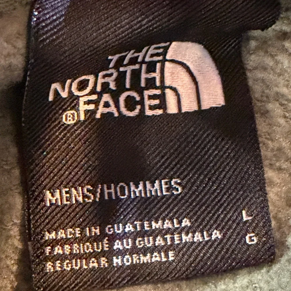 The North Face Mens Bear Graphic Pullover Hoodie Sage Green Large